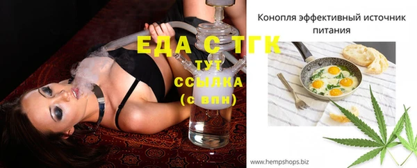 индика Тында