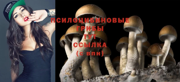 бутик Туринск