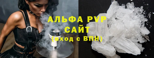 индика Тында