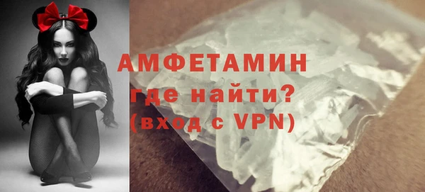 индика Тында