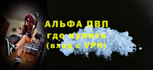 индика Тында