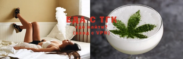 индика Тында