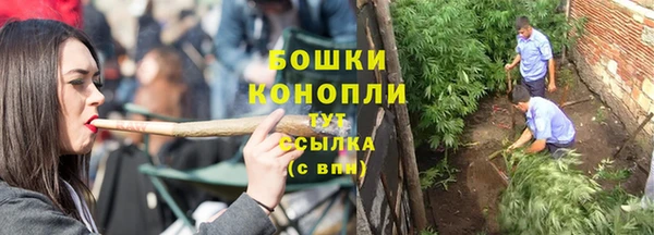 индика Тында