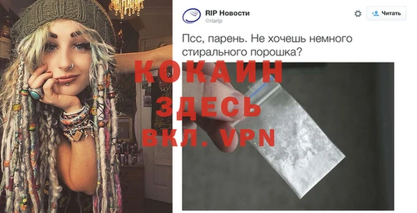 индика Тында