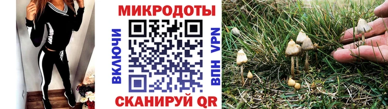 Галлюциногенные грибы мухоморы  Большой Камень 