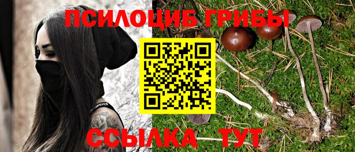 Большой Камень  Галлюциногенные грибы ЛСД  Вход с VPN  Псилоцибиновые грибы Cubensis 