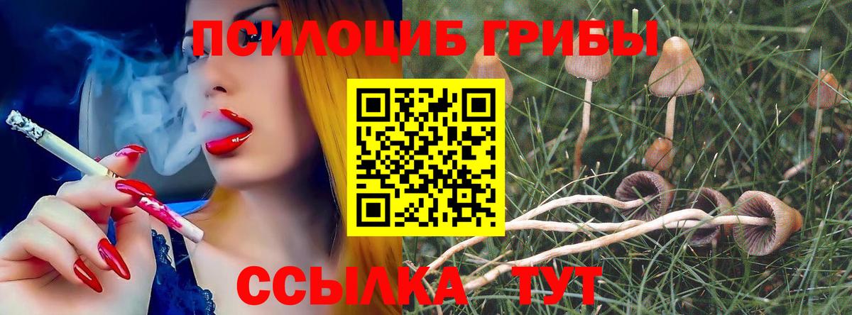 Псилоцибиновые грибы мухоморы Большой Камень